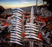 by aubereylescure, Views[174]