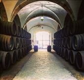 by aubereylescure, Views[239]