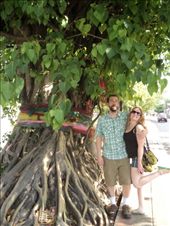 by aubrey, Views[117]