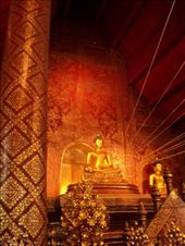 by aubrey, Views[107]