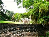 The original slave cabins on the property. They date back to the early 1800s.: by aubreygodwin, Views[407]