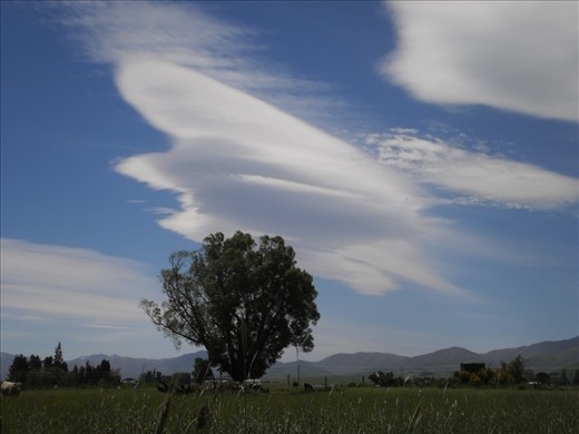 Our van broke down just out of Fairlie, NZ.  Whilst laying in a field of long grass looked up.