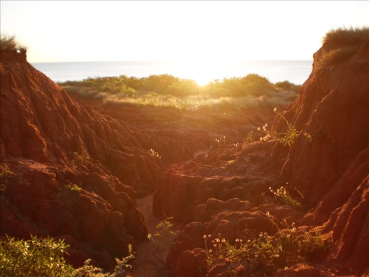 Captured this view, whilst sipping a cold beer, from our campsite at James Price Point, just out of Broome, WA