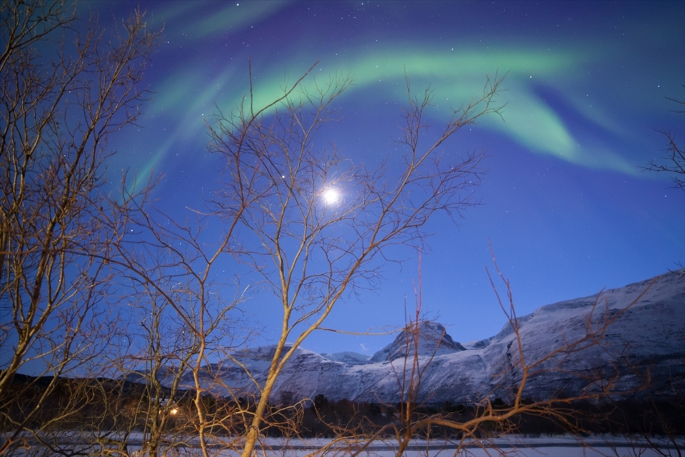 Some people say that the moon hides the Aurora or even avoids it. Not in this case, where the Aurora is strong, and the light from the moon only enhances the sight of the Tricky Lady.  Skibotn/Norway
