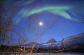 Some people say that the moon hides the Aurora or even avoids it. Not in this case, where the Aurora is strong, and the light from the moon only enhances the sight of the Tricky Lady.  Skibotn/Norway: by aurorahunt, Views[575]