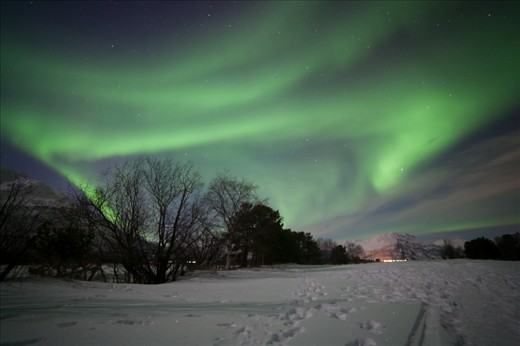 
The Aurora shape surrounding the mountains and horizon, such a beautiful display that we may even forget about the temperature of -13 Celsius. Skibotn/Norway 