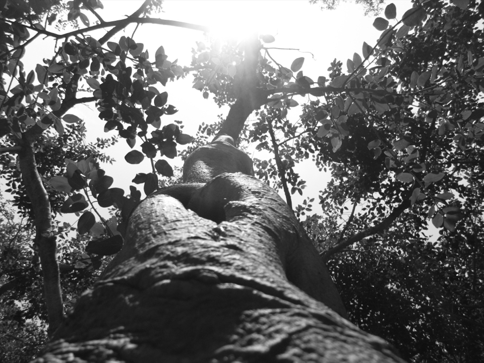 There is always light one need to grow up to absorb it.