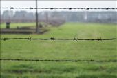 In Oświęcim, Poland, barbed wire separates arriving visitors from the vast area of the former concentration camp.: by auschwitz, Views[666]