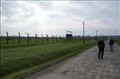 Inside, tourists wander around the gigantic open space, unsure how to behave on the ground that stood witness to history’s biggest genocide.: by auschwitz, Views[677]