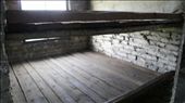 On entering the barracks where the prisoners were put, you realize how huddled and inhumane the living conditions really were. This bunk of just over two square meters was once the home of entire families, if they were lucky enough to stay together.: by auschwitz, Views[747]