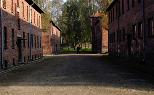 Between the buildings that used to house Nazi administrators and soldiers, a security guard is hit by a stroke of sunlight. He stands on the alley all of the prisoners had to pass before they were counted every day. Many of them for the last time before they were shot.