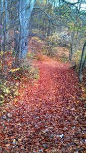 by auslandlisa, Views[251]