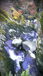 by aussie_cat, Views[130]