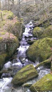 by aussie_cat, Views[163]