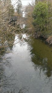 by aussie_cat, Views[224]