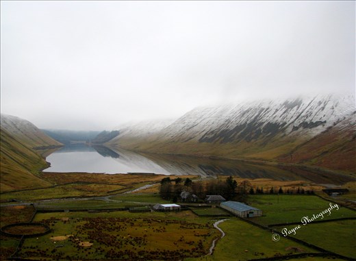 Approaching the water there were beautiful farms 