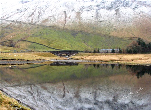 We crossed the bridge, the fabulous scenery was a dream come true