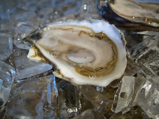 The pristine oyster.