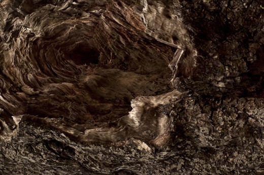 These Abstract shots are reminiscent of Aboriginal paintings of the dream world