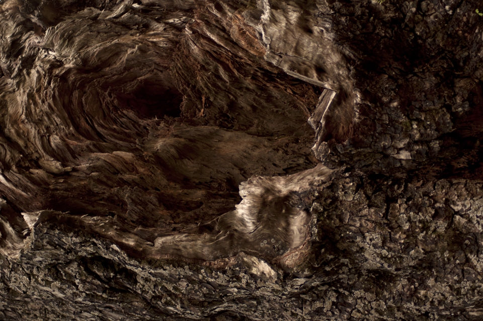 These Abstract shots are reminiscent of Aboriginal paintings of the dream world