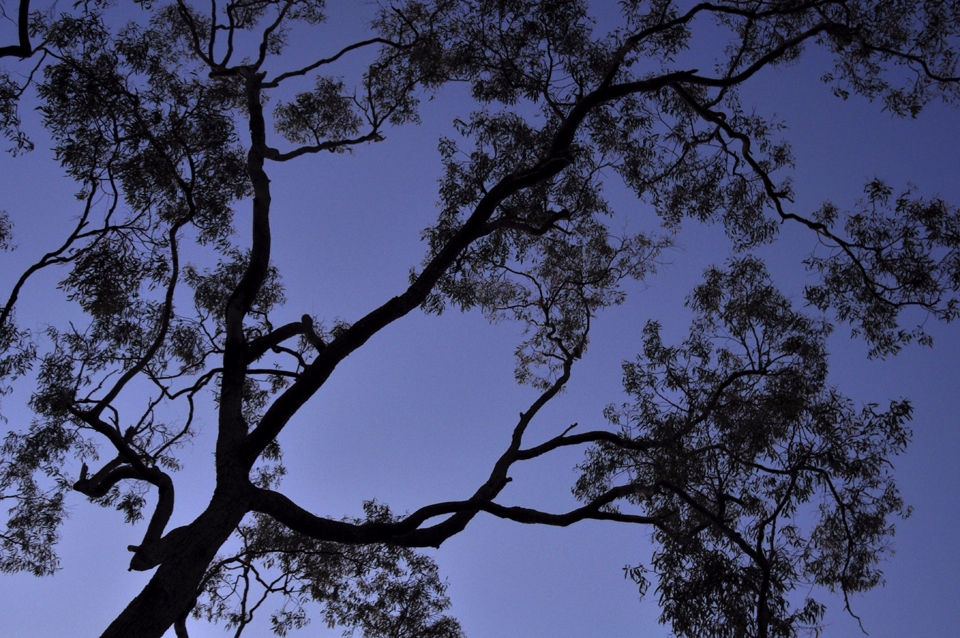 viewing the world from a different viewpoint makes us question our place in life