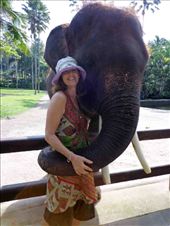 lovin' elephants at Safari Park northoif Ubud... don't usually do touristy things but this place is a superb opportunity to get an elephant hug...: by avalyn, Views[1281]