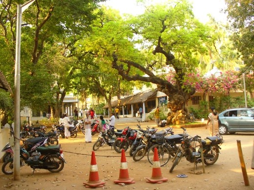 photo from hotel room, Tiruvanamlai, Southern India, ashram town