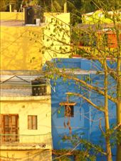 more Indian colour....: by avalyn, Views[539]