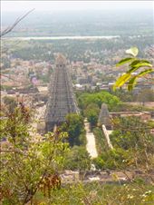 original temple towers in Tiru, 1000 years old seen from a walk to Skand ashram on the mountain: Arunachala: believed to be the embodiment of Shiva: by avalyn, Views[930]