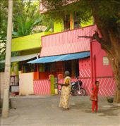 by avalyn, Views[427]