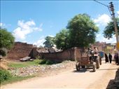These men are on their way to either collecting grasses to feed their home buffaloes or harvest sugarcanes with their tractors. : by averyfication, Views[233]