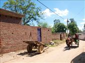 Another alternative to move around short distances within the town is a horse drawn carriage. : by averyfication, Views[284]