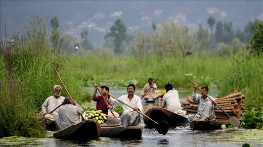 Early morning everyday, many local vendors gather at the Floating Vegetables Market at Dal lake, buy and sell vegetables before proceeding to sell them to the local people