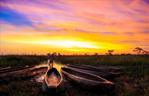 Okavango Delta, Botswana 