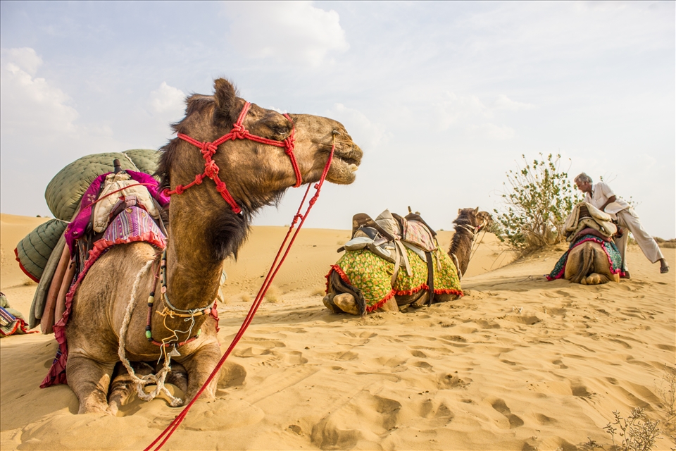 Three months in India forced me to seek solitude from the Thar Desert.