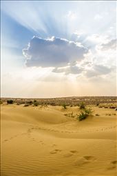 Gold sand with only my own familiar prints reminded me I was peacefully lost. : by away2travel, Views[635]