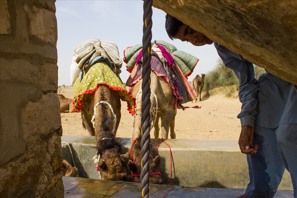 The treasured sound of water splashing has never before been so treasured. 