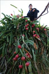 by awoolherb, Views[69]