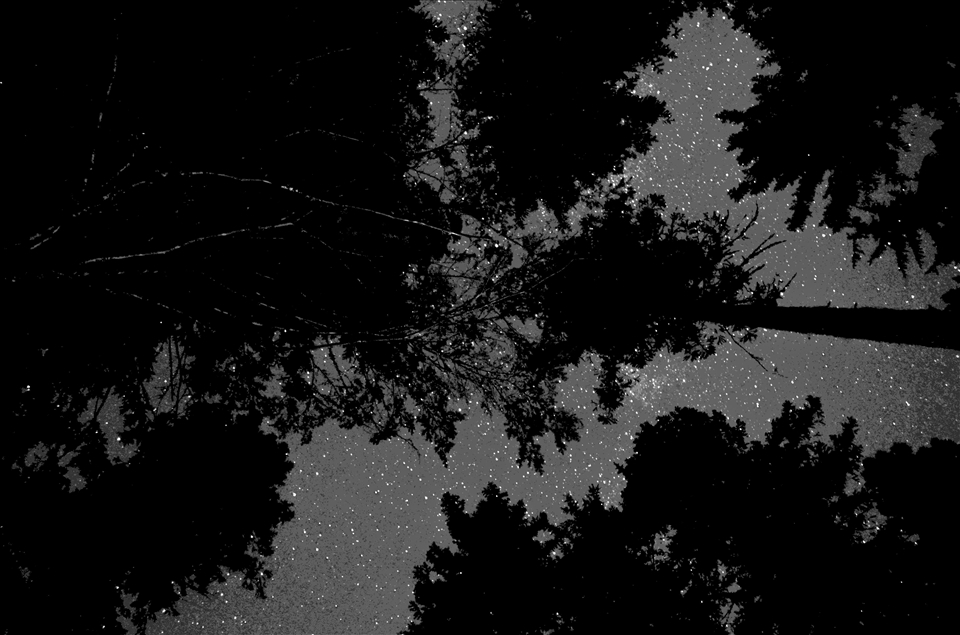 Starry night at the Whistler RV Campground