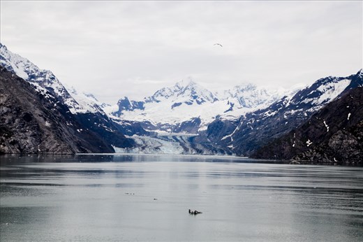 John Hopkins Glacier in Alaska