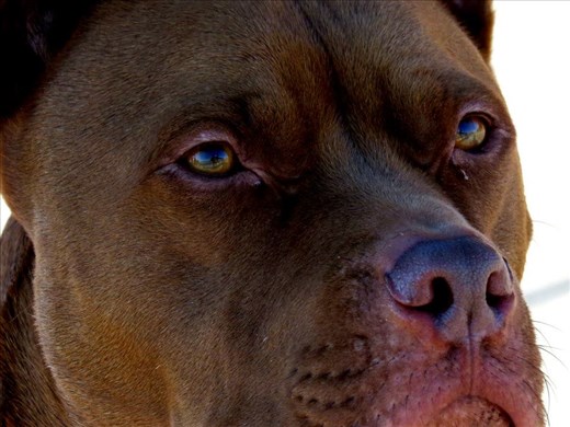 Gentle souls all around us