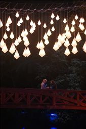 Local park that brings in lights every year in New Plymouth. Family Tradition.: by aydenjames, Views[254]