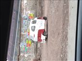 by aylariver, Views[401]