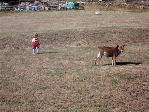 bored girl, in long same days. in Uzungöl, Trabzon, Turkey.