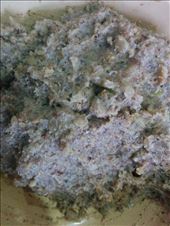 Grinded stuffing: by azbook, Views[359]