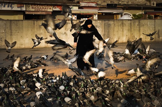 A woman feeding pigeons in front of Yenì Cami. This is one of the most true and consistent vision of Istanbul: the pigeons and hence the pigeon feeders. This is a daily activity for anyone: kids, tourists and locals, and it is a sort of ritual which represents the ability to enjoy the small things that nature has to offer.