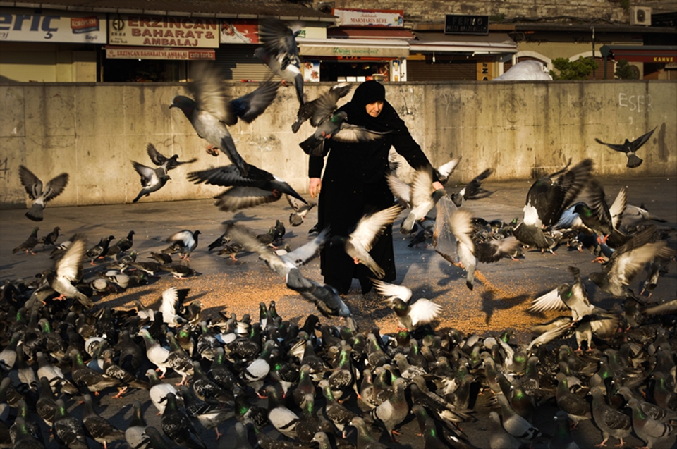 A woman feeding pigeons in front of Yenì Cami. This is one of the most true and consistent vision of Istanbul: the pigeons and hence the pigeon feeders. This is a daily activity for anyone: kids, tourists and locals, and it is a sort of ritual which represents the ability to enjoy the small things that nature has to offer.