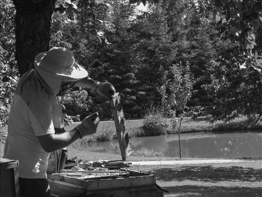  “Bees can sense when one is afraid” says the beekeeper. “They don’t sting me as much as they did in the beginning. We are becoming friends. My dream is not to wear the gloves and head protection. When this day will come, I will be sure that not only I became attached to my bees, but my bees got attached to me.” 