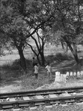 by baa, Views[198]
