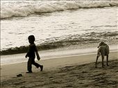 it didn't take him long to find a playmate to run along the beach with, but that doesn't seem to be the friend the little boy was hoping for: by bahareh, Views[287]
